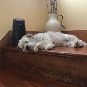 Meet your Posher, Chiara